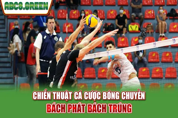 Chiến thuật cá cược bóng chuyền bách phát bách trúng