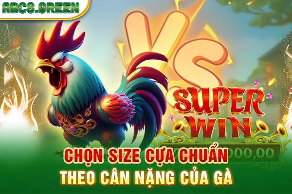 Chọn size cựa chuẩn theo cân nặng của gà