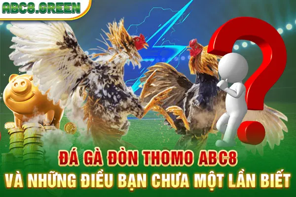 Đá Gà Đòn Thomo ABC8 Và Những Điều Bạn Chưa Một Lần Biết