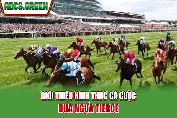 Giới thiệu hình thức cá cược đua ngựa Tierce