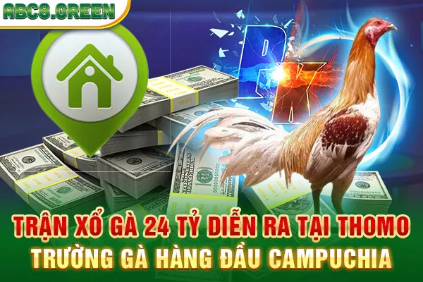 Trận xổ gà 24 tỷ diễn ra tại Thomo - trường gà hàng đầu Campuchia